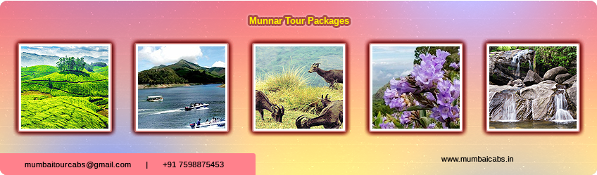Weekend Munnar tour Pacakges from Mumbai