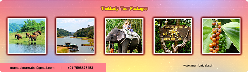 Periyar Tour Packages from Mumbai